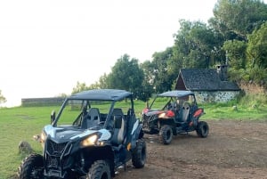 Madeira: Off-Road Buggy Driving Experience