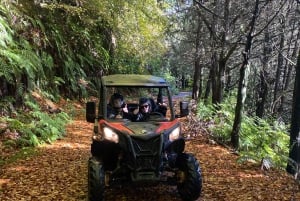 Madeira: Off-Road Buggy Driving Experience