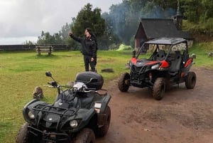 Madeira: Off-Road Buggy Driving Experience
