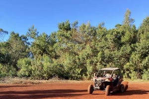 Madeira: Off-Road Buggy Driving Experience