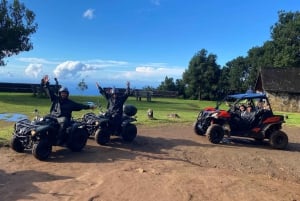 Madeira: Off-Road Buggy Driving Experience