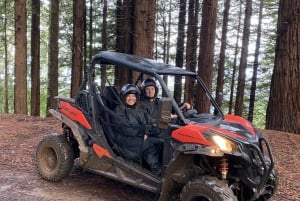 Madeira: Off-Road Buggy Driving Experience