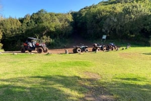 Madeira: Off-Road Buggy Driving Experience