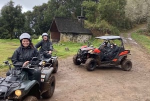 Madeira: Off-Road Buggy Driving Experience