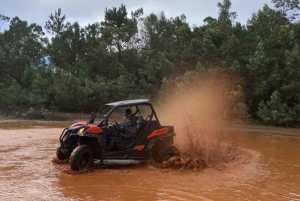 Madeira: Off-Road Buggy Driving Experience