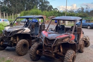 Madeira: Off-Road Buggy Driving Experience
