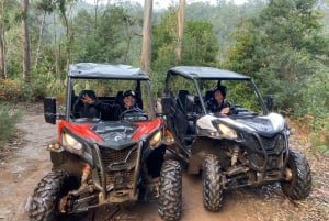 Madeira: Off-Road Buggy Driving Experience