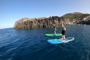 Madeira: Private Paddleboard & Snorkel