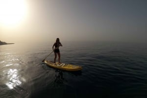 Madeira: Private Paddleboard & Snorkel