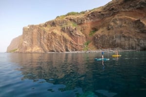 Madeira: Private Paddleboard & Snorkel