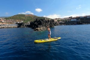 Madeira: Private Paddleboard & Snorkel