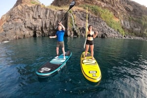 Madeira: Private Paddleboard & Snorkel