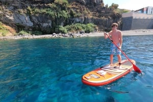 Madeira: Private Paddleboard & Snorkel