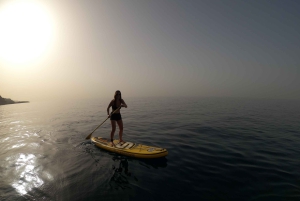 マデイラ島：プライベート パドルボード & シュノーケル