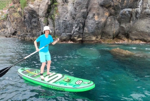 マデイラ島：プライベート パドルボード & シュノーケル