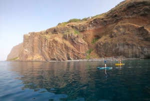 マデイラ島：プライベート パドルボード & シュノーケル