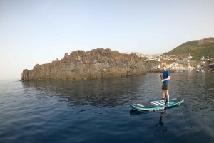 マデイラ島：プライベート パドルボード & シュノーケル