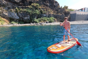 マデイラ島：プライベート パドルボード & シュノーケル