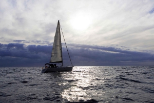 Madeira: privat segelbåtstur för familjen, SUP, snorkling