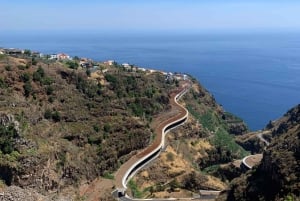 Madeira: Private Sightseeing Tour for 1-2 Persons