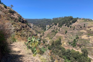 Madeira: Private Sightseeing Tour for 1-2 Persons