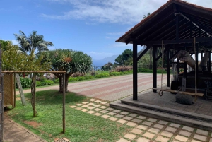 Madeira: Private Sightseeing Tour for 1-2 Persons