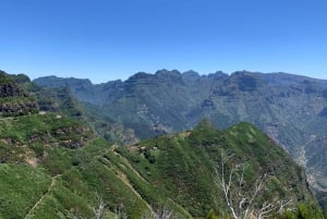 Madeira: Private Sightseeing Tour for up to 6 People