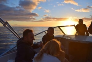 Madeira: cruzeiro privativo em iate ao pôr do sol com mergulho com snorkel e vinho