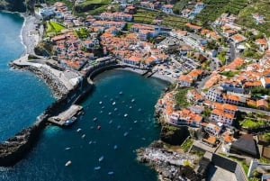Madeira: tour privado para cruceristas