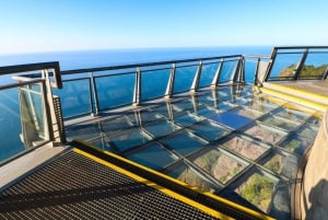 Madeira: tour privado para cruceristas