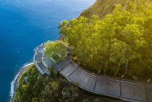 Madeira: tour privado para cruceristas