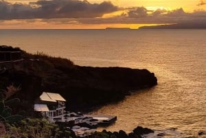 Discover Madeira in your own way: Private full-day tour