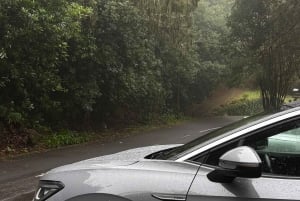 Madeira: tour privato con Pico do Areeiro e Santana