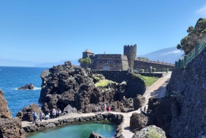 Madeira: privétransfer naar de natuurlijke zwembaden van Porto Moniz