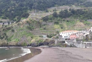 Madeira: Privat transfer till Seixal Black Sand Beach