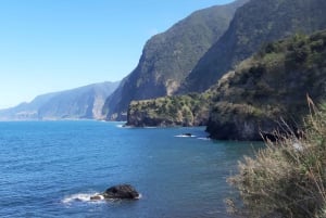 Madeira: Privat transfer till Seixal Black Sand Beach
