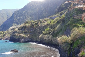 Madeira: Privat transport til Seixal Black Sand Beach