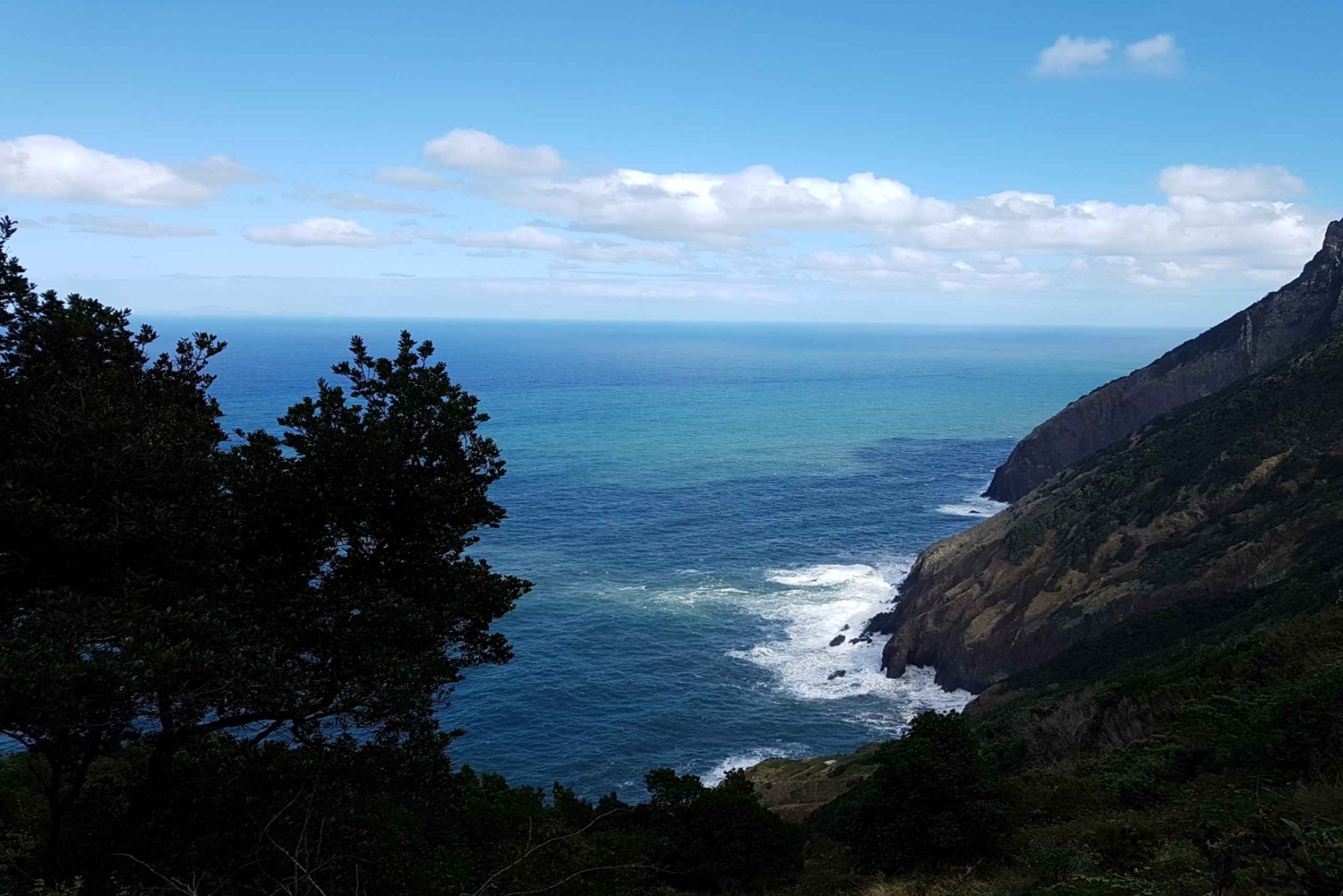 マデイラ：プライベート ヴェレダ ド ララノ ハイキング