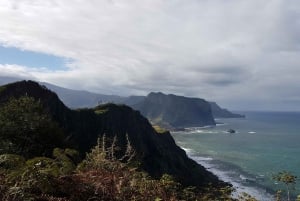 Madeira: Private Vereda do Larano Hike