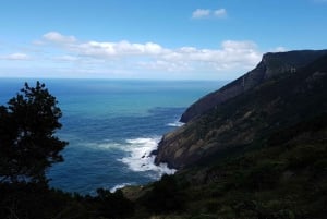 Madeira: Private Vereda do Larano Hike