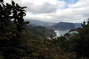 Madeira: Private Vereda do Larano Hike