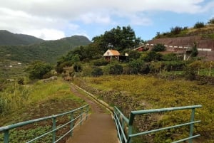 Madeira: Private Vereda do Larano Hike