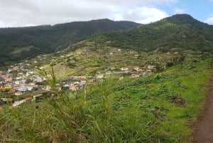 Madeira: Private Vereda do Larano Hike