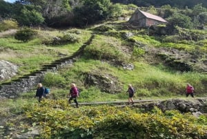 Madeira: Private Vereda do Larano Hike