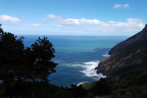 マデイラ：プライベート ヴェレダ ド ララノ ハイキング