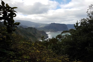 マデイラ：プライベート ヴェレダ ド ララノ ハイキング