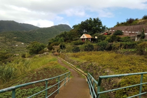 マデイラ：プライベート ヴェレダ ド ララノ ハイキング