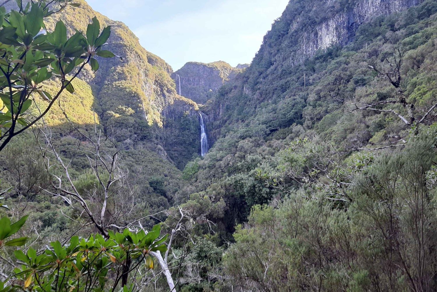 Madeira: Tour a pie privado de Levada das 25 Fontes PR6