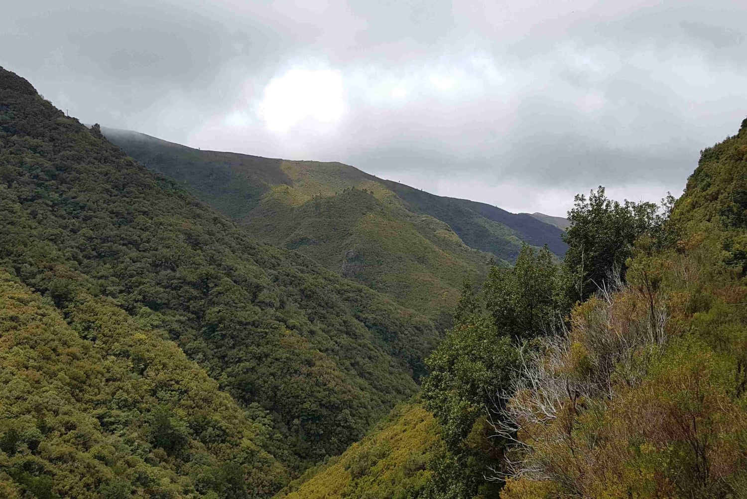 Madeira: Tour a pie privado de Levada das 25 Fontes PR6