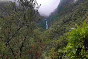 Madeira: Private Walking Tour of Levada das 25 Fontes PR6